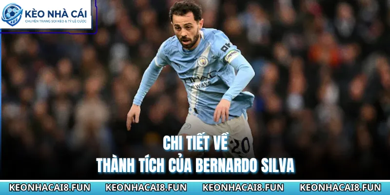 Chi tiết về thành tích của Bernardo Silva