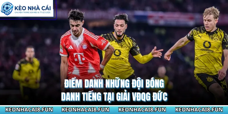 Điểm danh những đội bóng danh tiếng tại giải VĐQG Đức