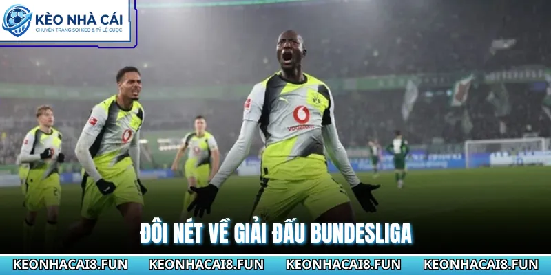 Đôi nét về giải đấu Bundesliga