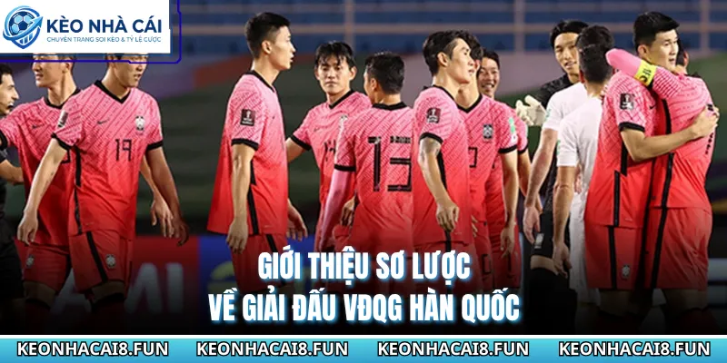 VĐQG Hàn Quốc 28 Giới thiệu sơ lược về giải đấu VĐQG Hàn Quốc