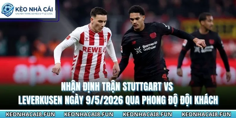 Nhận định trận Stuttgart vs Leverkusen ngày 9/5/2026 từ thống kê chạm mặt