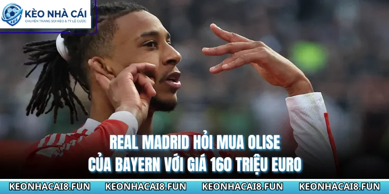 Real Madrid Hỏi Mua Olise Của Bayern Với Giá 160 Triệu Euro 1 Real Madrid Hỏi Mua Olise Của Bayern Với Giá 160 Triệu Euro