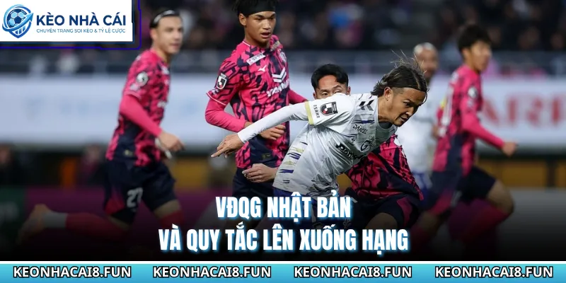 VĐQG Nhật Bản và quy tắc lên xuống hạng
