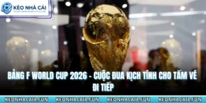 Bảng F World Cup 2026