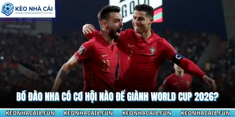 Đội Hình Đội Tuyển Bồ Đào Nha World Cup 2026 Tiềm Năng 3 Bồ Đào Nha có cơ hội nào để giành World Cup 2026?