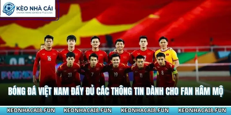 Bóng đá Việt Nam đầy đủ các thông tin dành cho fan hâm mộ