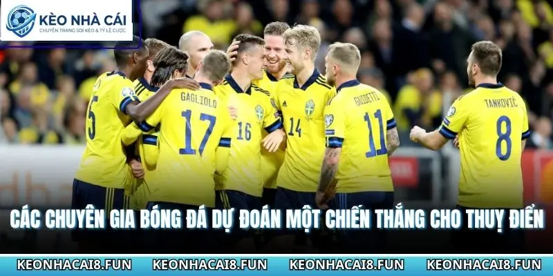 Nhận Định World Cup 2026 Thụy Điển Vs Tunisia Chính Xác 3 Các chuyên gia bóng đá dự đoán một chiến thắng cho Thuỵ Điển