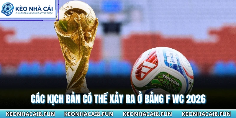 Các kịch bản có thể xảy ra ở bảng F WC 2026