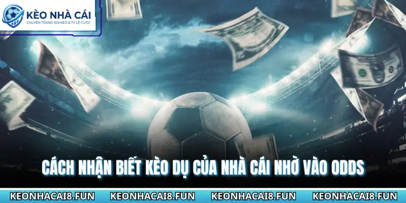 Cách nhận biết kèo dụ của nhà cái nhờ vào odds