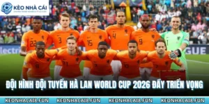 Đội hình đội tuyển Hà Lan World cup 2026