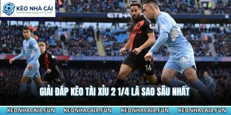 Giải đáp kèo tài xỉu 2 1/4 là sao sâu nhất 