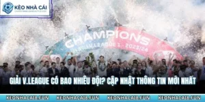 Giải V.League có bao nhiêu đội