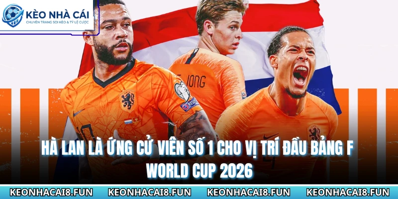Hà Lan là ứng cử viên số 1 cho vị trí đầu bảng F World Cup 2026