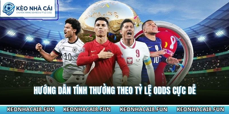 Hướng dẫn tính thưởng theo tỷ lệ Odds cực dễ