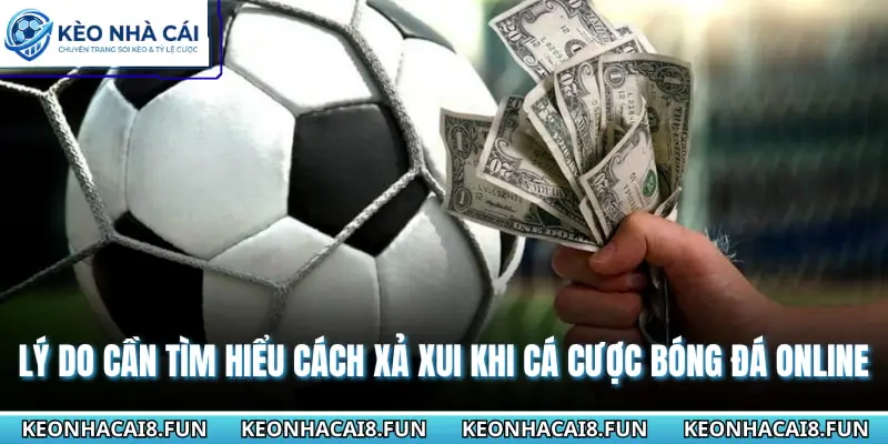 Lý do cần tìm hiểu cách xả xui khi cá cược bóng đá online