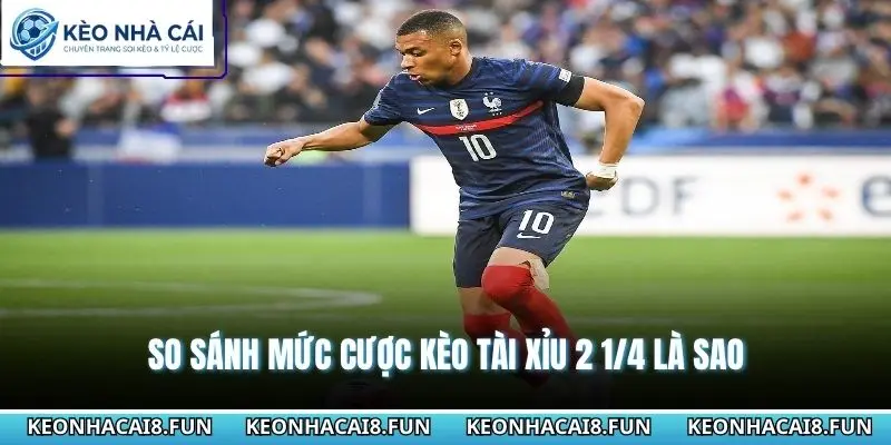 So sánh mức cược kèo tài xỉu 2 1/4 là sao