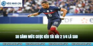 Kèo tài xỉu 2 1/4 là sao