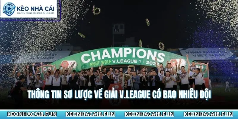 Giải V.League Có Bao Nhiêu Đội? Cập Nhật Thông Tin Mới Nhất 1 Thông tin sơ lược về giải V.league có bao nhiêu đội