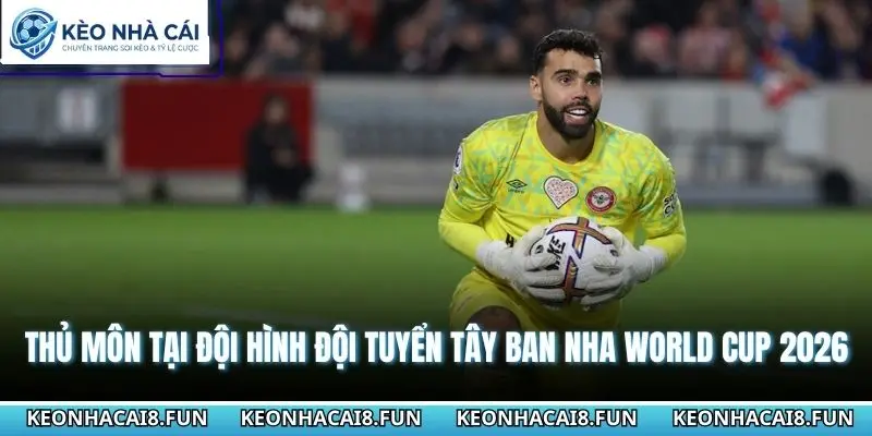 Thủ môn tại đội hình đội tuyển Tây Ban Nha World Cup 2026