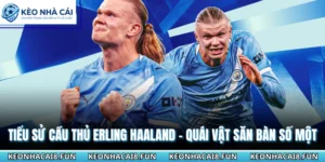 Tiểu sử cầu thủ Erling Haaland