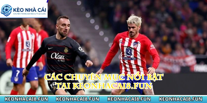 Kèo nhà cái 182 Các chuyên mục nổi bật tại keonhacai