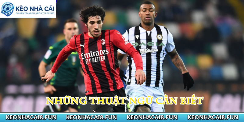 Kèo nhà cái 183 Những thuật ngữ cần biết